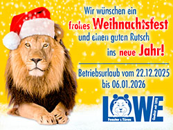 Frohes Weihnachtsfest und einen guten Rutsch ins neue Jahr!